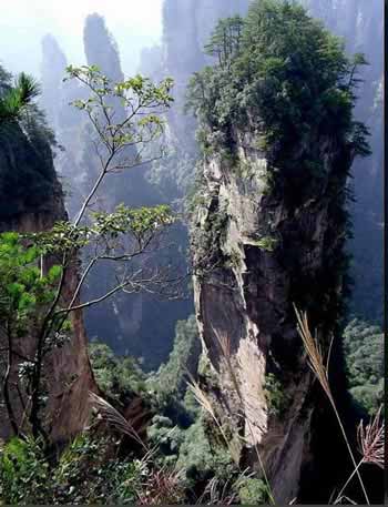 長(zhǎng)沙出發(fā)到張家界溶洞奇觀(guān)黃龍洞、國(guó)家森林公園、袁家界、峰林之王天子山三日游（早班）