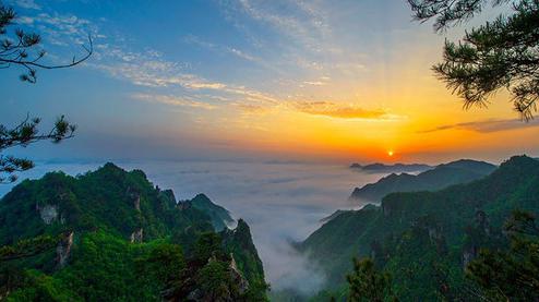 張家界森林公園（金鞭溪、袁家界、楊家界、天子山、十里畫(huà)廊）住山上2天1游（可看日出）